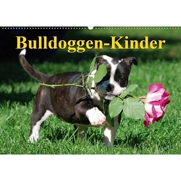 Bulldoggen-Kinder (Wandkalender 2020 DIN A2 quer), Elisabeth Stanzer