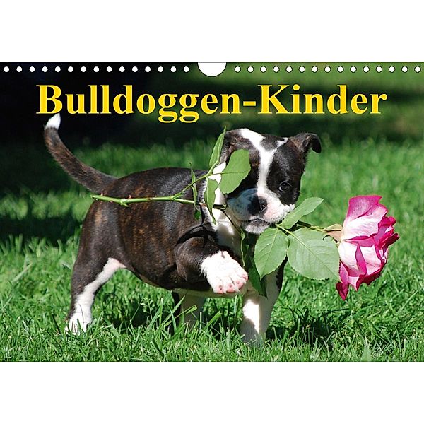 Bulldoggen-Kinder (Wandkalender 2020 DIN A4 quer), Elisabeth Stanzer