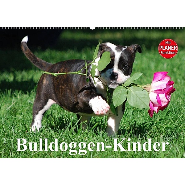 Bulldoggen-Kinder (Wandkalender 2023 DIN A2 quer), Elisabeth Stanzer
