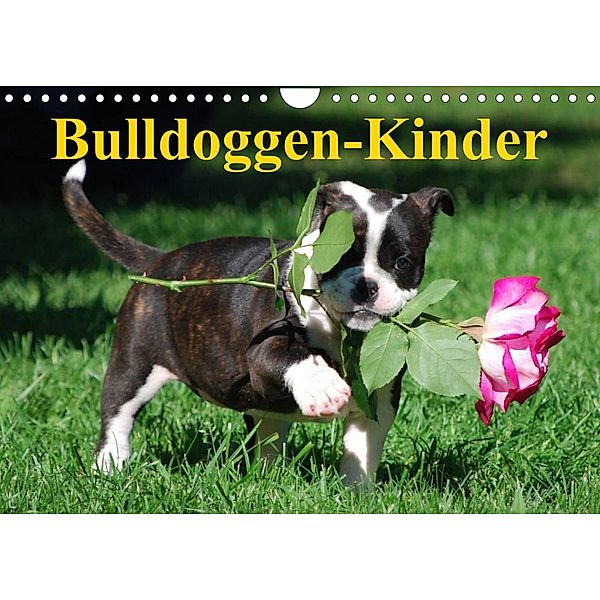 Bulldoggen-Kinder (Wandkalender 2023 DIN A4 quer), Elisabeth Stanzer