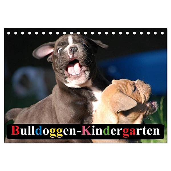 Bulldoggen-Kindergarten (Tischkalender 2024 DIN A5 quer), CALVENDO Monatskalender, Elisabeth Stanzer
