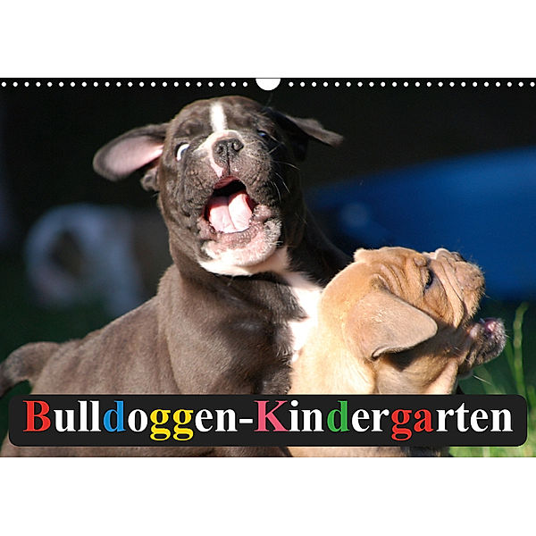 Bulldoggen-Kindergarten (Wandkalender 2019 DIN A3 quer), Elisabeth Stanzer