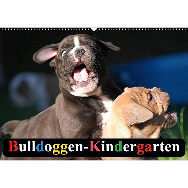 Bulldoggen-Kindergarten (Wandkalender 2020 DIN A2 quer), Elisabeth Stanzer