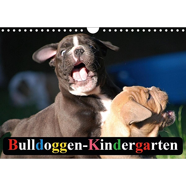 Bulldoggen-Kindergarten (Wandkalender 2020 DIN A4 quer), Elisabeth Stanzer