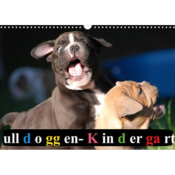 Bulldoggen-Kindergarten (Wandkalender 2022 DIN A3 quer), Elisabeth Stanzer