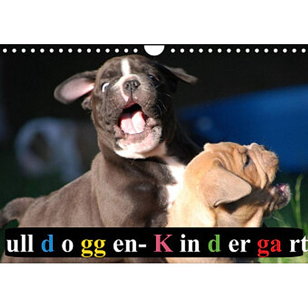 Bulldoggen-Kindergarten (Wandkalender 2022 DIN A4 quer), Elisabeth Stanzer