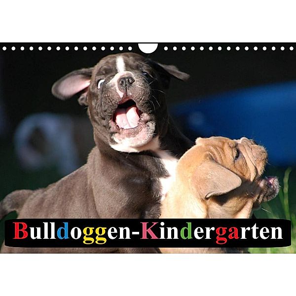 Bulldoggen-Kindergarten (Wandkalender 2023 DIN A4 quer), Elisabeth Stanzer