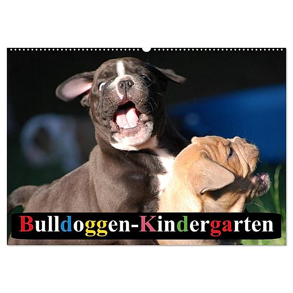 Bulldoggen-Kindergarten (Wandkalender 2024 DIN A2 quer), CALVENDO Monatskalender, Elisabeth Stanzer