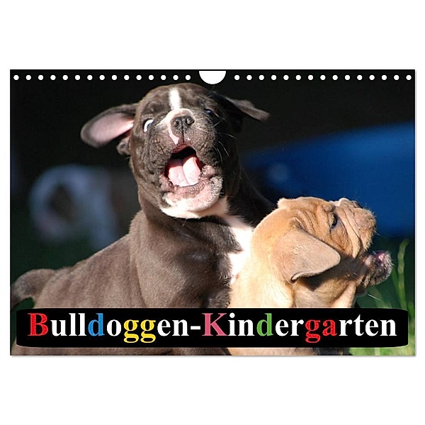 Bulldoggen-Kindergarten (Wandkalender 2024 DIN A4 quer), CALVENDO Monatskalender, Elisabeth Stanzer