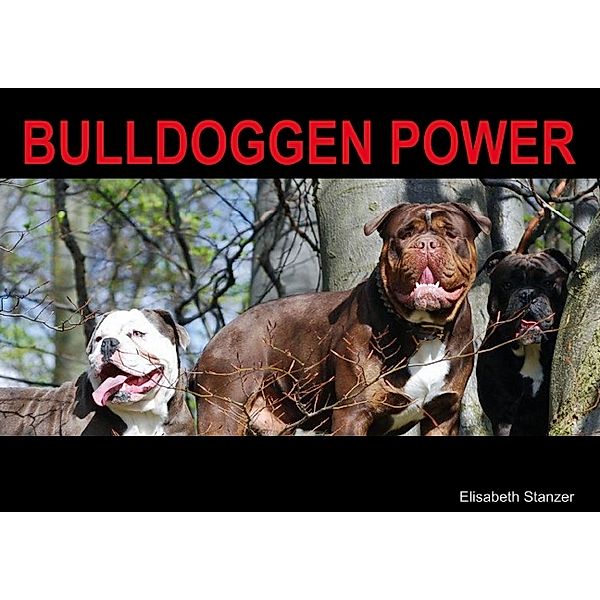 Bulldoggen Power (Posterbuch DIN A2 quer), Elisabeth Stanzer