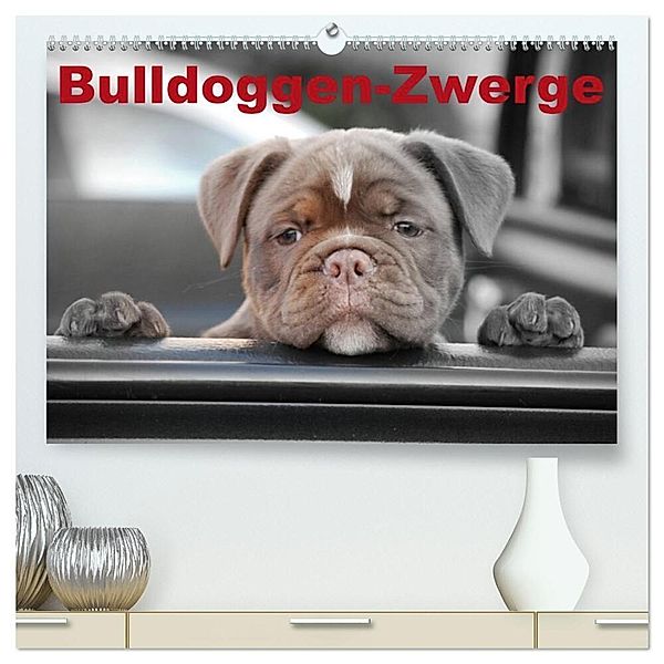 Bulldoggen-Zwerge (hochwertiger Premium Wandkalender 2024 DIN A2 quer), Kunstdruck in Hochglanz, Elisabeth Stanzer