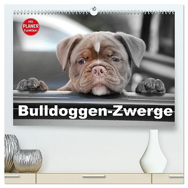 Bulldoggen-Zwerge (hochwertiger Premium Wandkalender 2025 DIN A2 quer), Kunstdruck in Hochglanz, Calvendo, Elisabeth Stanzer