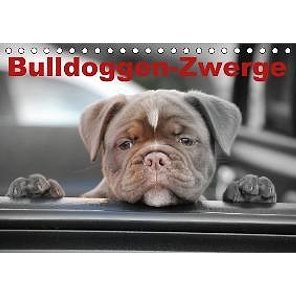 Bulldoggen-Zwerge (Tischkalender 2016 DIN A5 quer), Elisabeth Stanzer