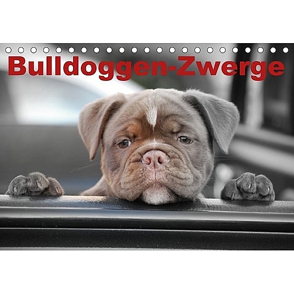 Bulldoggen-Zwerge (Tischkalender 2017 DIN A5 quer), Elisabeth Stanzer