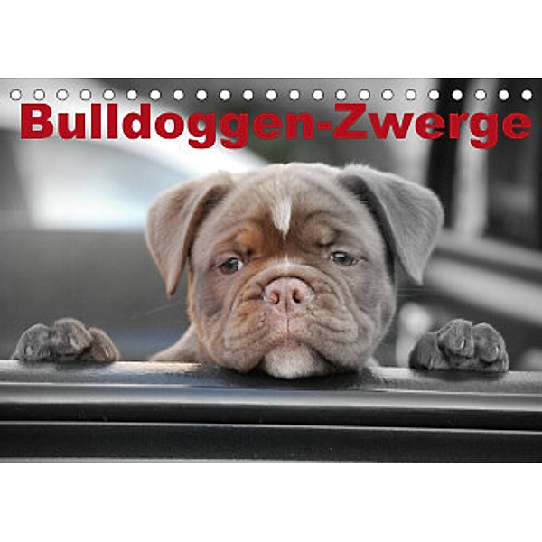 Bulldoggen-Zwerge (Tischkalender 2022 DIN A5 quer), Elisabeth Stanzer
