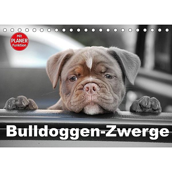 Bulldoggen-Zwerge (Tischkalender 2023 DIN A5 quer), Elisabeth Stanzer