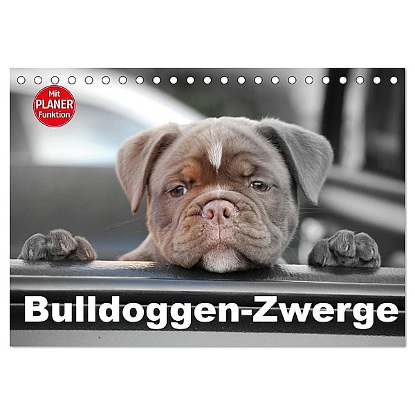 Bulldoggen-Zwerge (Tischkalender 2024 DIN A5 quer), CALVENDO Monatskalender, Elisabeth Stanzer