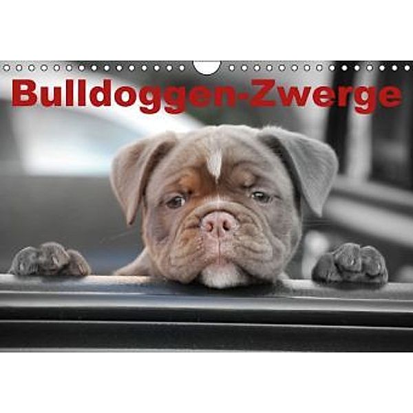 Bulldoggen-Zwerge (Wandkalender 2015 DIN A4 quer), Elisabeth Stanzer