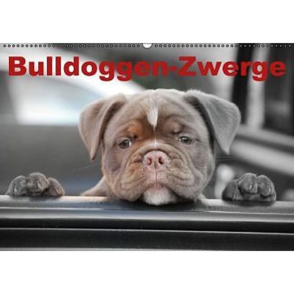 Bulldoggen-Zwerge (Wandkalender 2016 DIN A2 quer), Elisabeth Stanzer