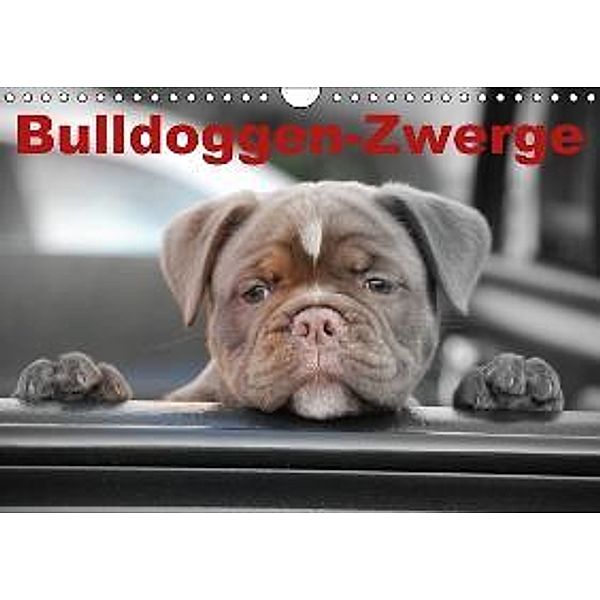 Bulldoggen-Zwerge (Wandkalender 2016 DIN A4 quer), Elisabeth Stanzer