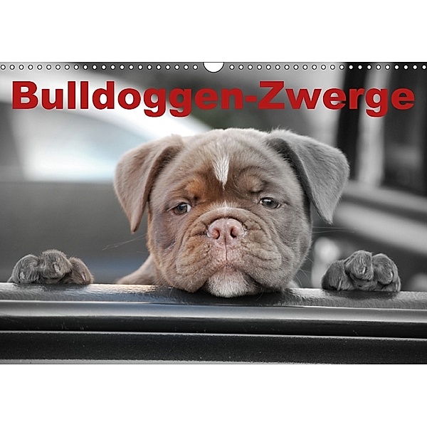 Bulldoggen-Zwerge (Wandkalender 2018 DIN A3 quer), Elisabeth Stanzer
