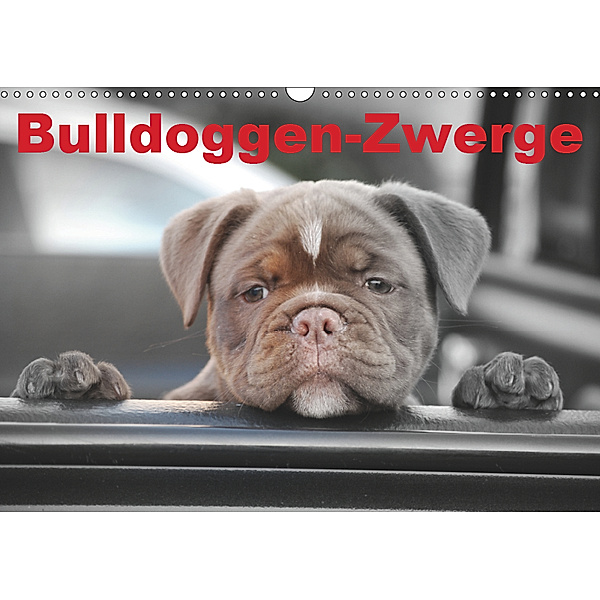 Bulldoggen-Zwerge (Wandkalender 2019 DIN A3 quer), Elisabeth Stanzer