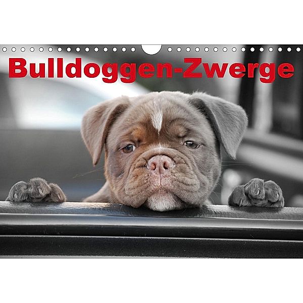Bulldoggen-Zwerge (Wandkalender 2021 DIN A4 quer), Elisabeth Stanzer