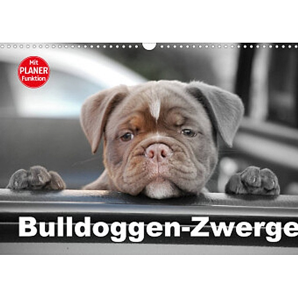 Bulldoggen-Zwerge (Wandkalender 2022 DIN A3 quer), Elisabeth Stanzer