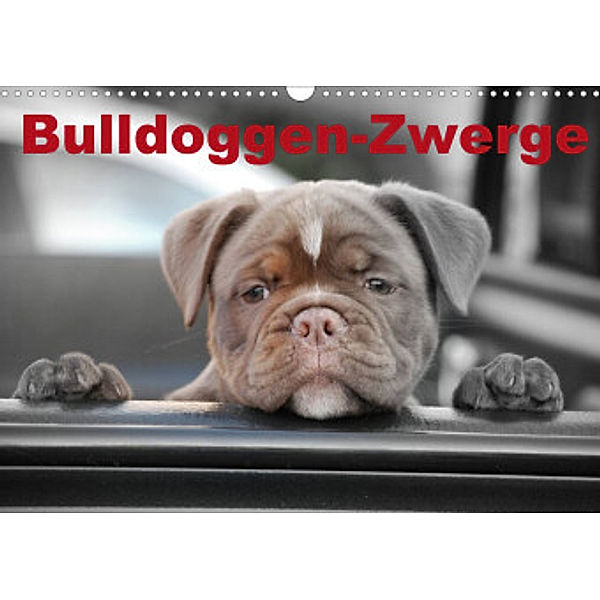 Bulldoggen-Zwerge (Wandkalender 2022 DIN A3 quer), Elisabeth Stanzer