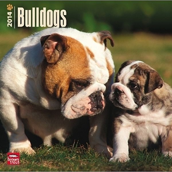 Bulldogs, Broschürenkalender 2014