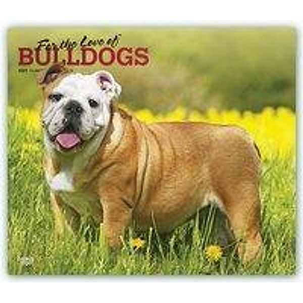 Bulldogs - For the love of 2021- 16-Monatskalender mit freier DogDays-App, BrownTrout Publisher