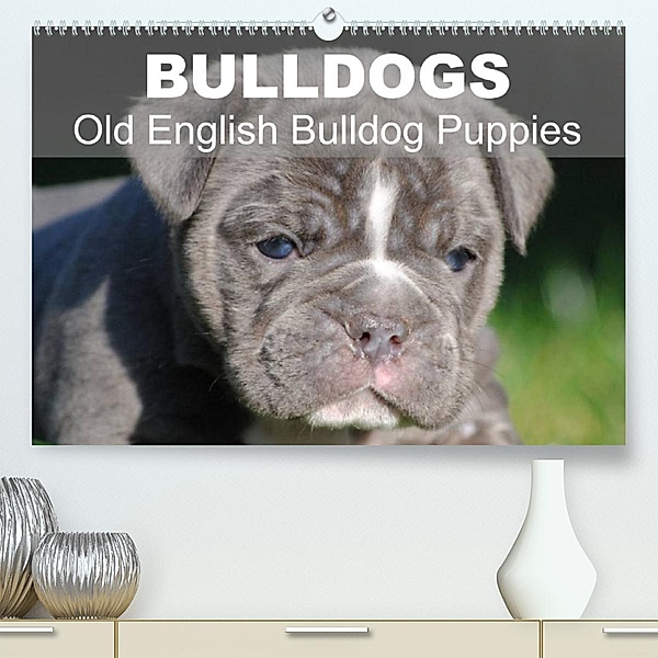 Bulldogs - Old English Bulldog Puppies (Premium, hochwertiger DIN A2 Wandkalender 2023, Kunstdruck in Hochglanz), Elisabeth Stanzer