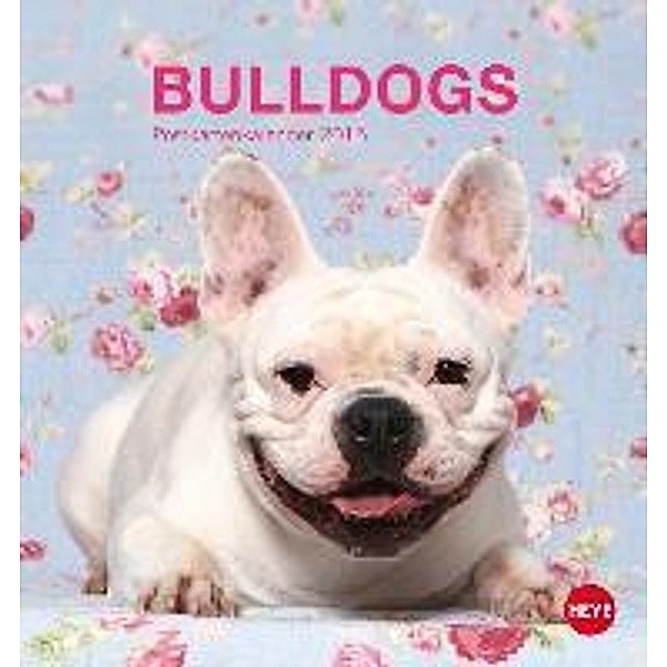 Bulldogs Postkartenkalender 2015