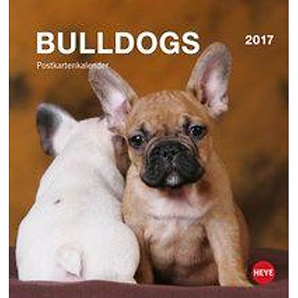 Bulldogs Postkartenkalender 2017