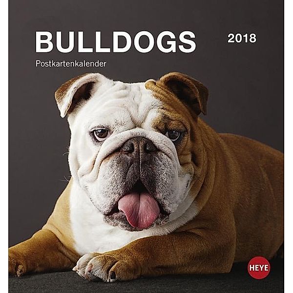 Bulldogs Postkartenkalender 2018