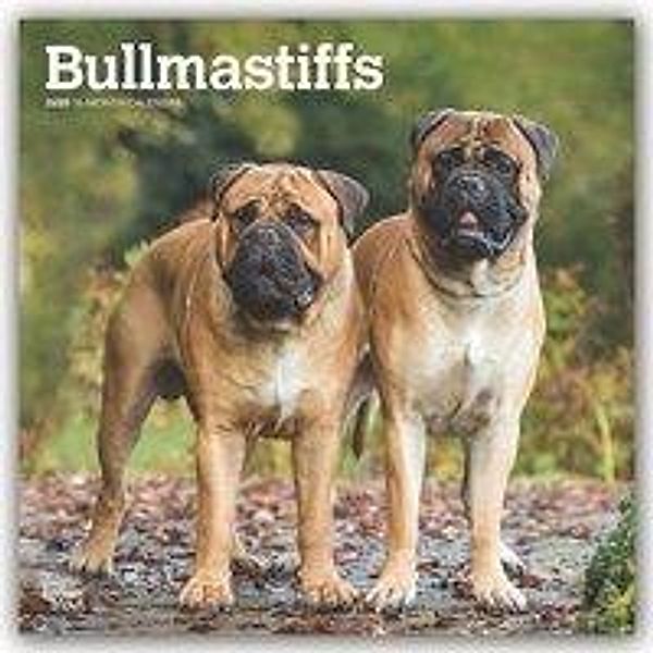 Bullmastiffs 2020, BrownTrout Publisher