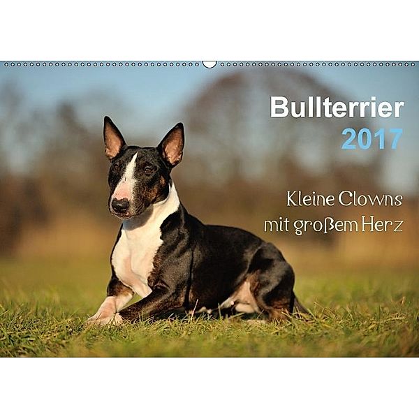 Bullterrier 2017 - Kleine Clowns mit großem Herz (Wandkalender 2017 DIN A2 quer), Yvonne Janetzek