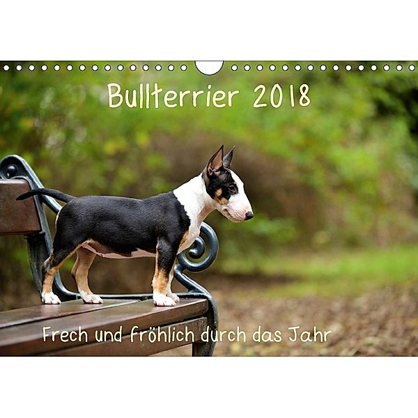 Bullterrier 2018 Frech und fröhlich durch das Jahr (Wandkalender 2018 DIN A4 quer), Yvonne Janetzek