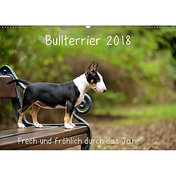 Bullterrier 2018 Frech und fröhlich durch das Jahr (Wandkalender 2018 DIN A2 quer), Yvonne Janetzek