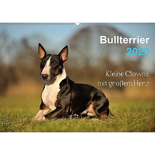 Bullterrier 2020 - Kleine Clowns mit großem Herz (Wandkalender 2020 DIN A2 quer), Yvonne Janetzek