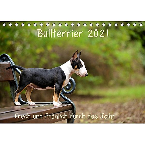 Bullterrier 2021 Frech und fröhlich durch das Jahr (Tischkalender 2021 DIN A5 quer), Yvonne Janetzek