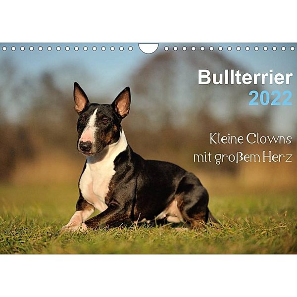 Bullterrier 2022 - Kleine Clowns mit großem Herz (Wandkalender 2022 DIN A4 quer), Yvonne Janetzek