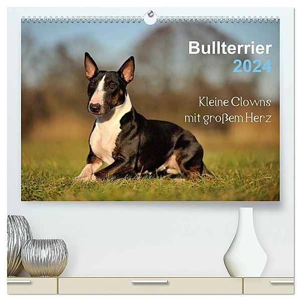 Bullterrier 2024 - Kleine Clowns mit grossem Herz (hochwertiger Premium Wandkalender 2024 DIN A2 quer), Kunstdruck in Hochglanz, Yvonne Janetzek