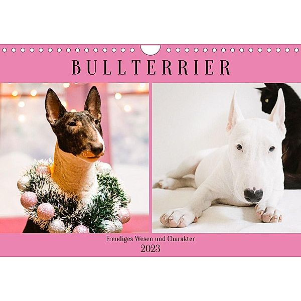 Bullterrier. Freudiges Wesen und Charakter (Wandkalender 2023 DIN A4 quer), Rose Hurley