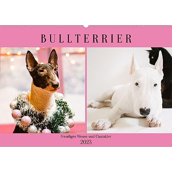 Bullterrier. Freudiges Wesen und Charakter (Wandkalender 2023 DIN A2 quer), Rose Hurley