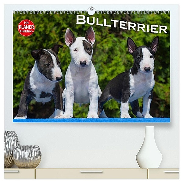Bullterrier (hochwertiger Premium Wandkalender 2024 DIN A2 quer), Kunstdruck in Hochglanz, Bullterrier