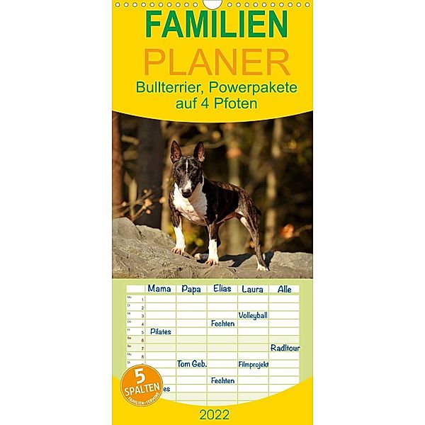 Bullterrier, Powerpakete auf 4 Pfoten - Familienplaner hoch (Wandkalender 2022 , 21 cm x 45 cm, hoch), Yvonne Janetzek