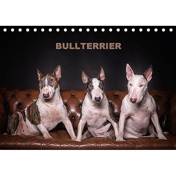 Bullterrier (Tischkalender 2017 DIN A5 quer), Sven Schubert