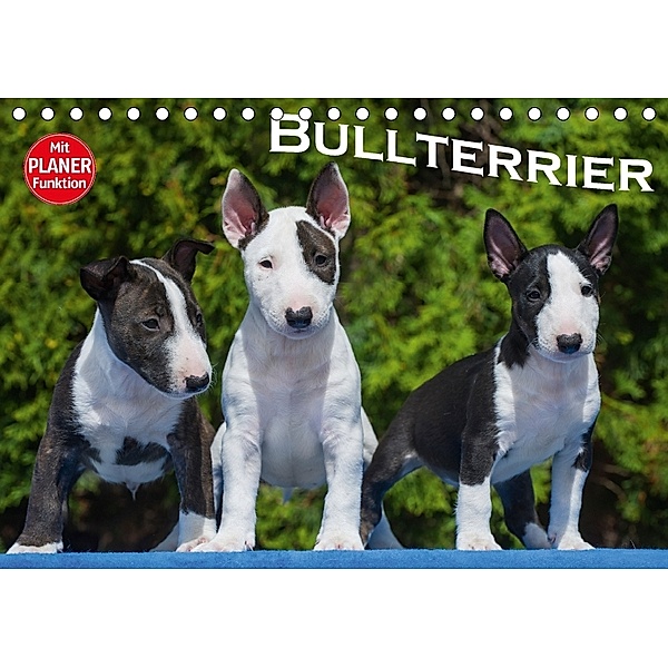 Bullterrier (Tischkalender 2018 DIN A5 quer) Dieser erfolgreiche Kalender wurde dieses Jahr mit gleichen Bildern und akt, Bullterrier