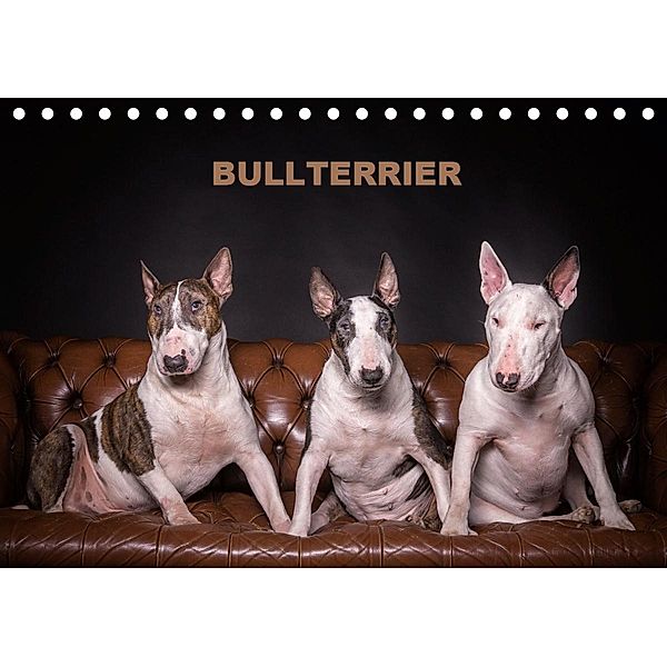 Bullterrier (Tischkalender 2021 DIN A5 quer), Sven Schubert